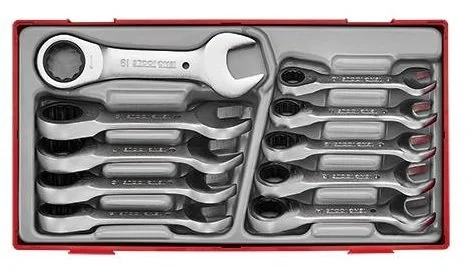 Teng TT6010MRS 10 Piece Metric Stubby Ratcheting Combination Spanner Set In Tool Box Module Tray
